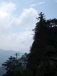 青山