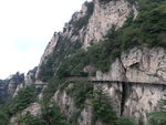 青山