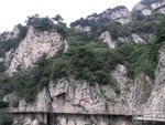 青山