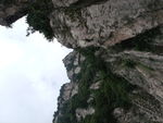 青山