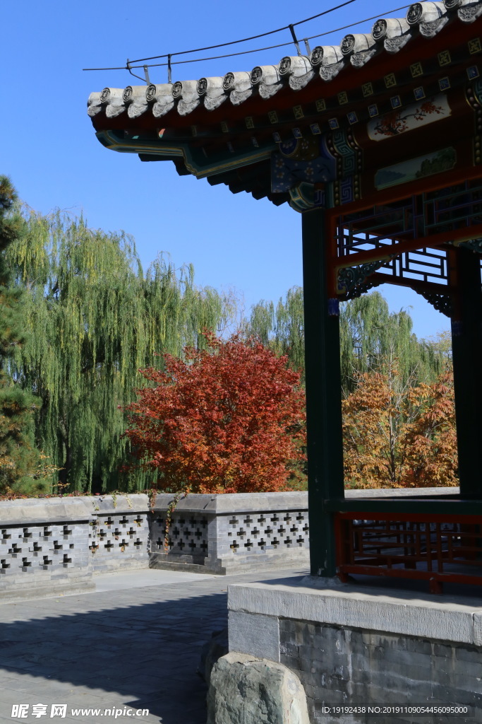 彩叶风景