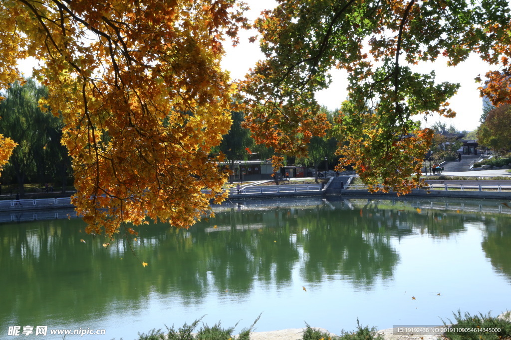 彩叶风景