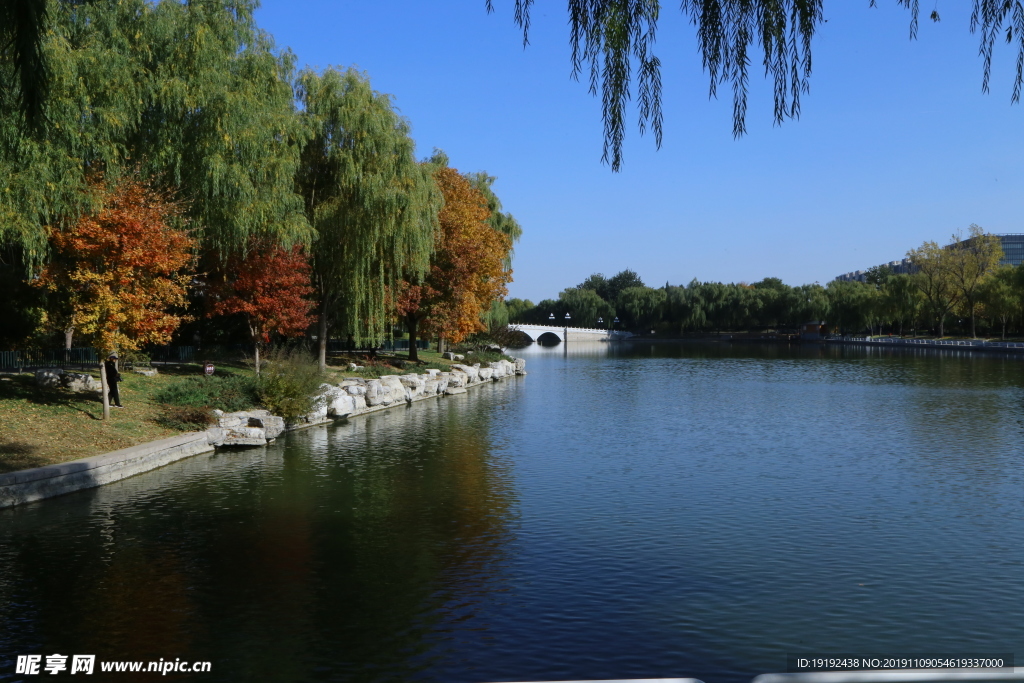彩叶风景