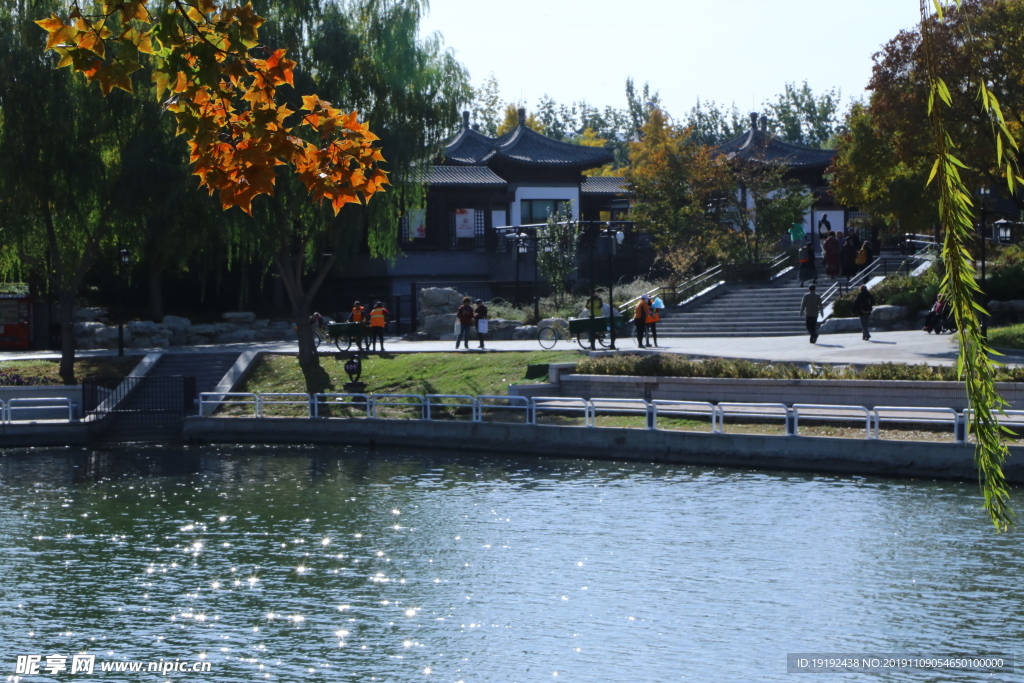 彩叶风景