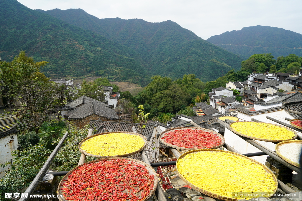 婺源篁岭晒秋人家的风景