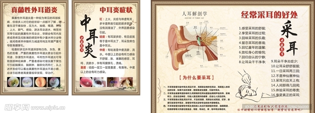 外耳道炎 中耳炎症