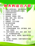 肠养的适合人群
