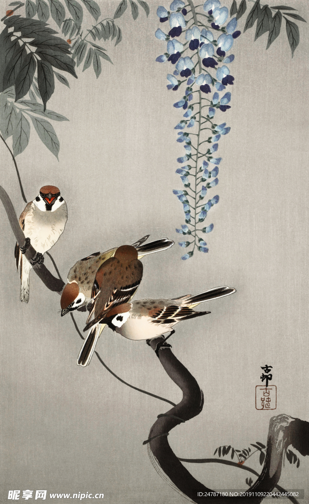 小鸟