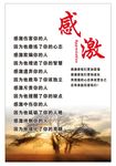 感激