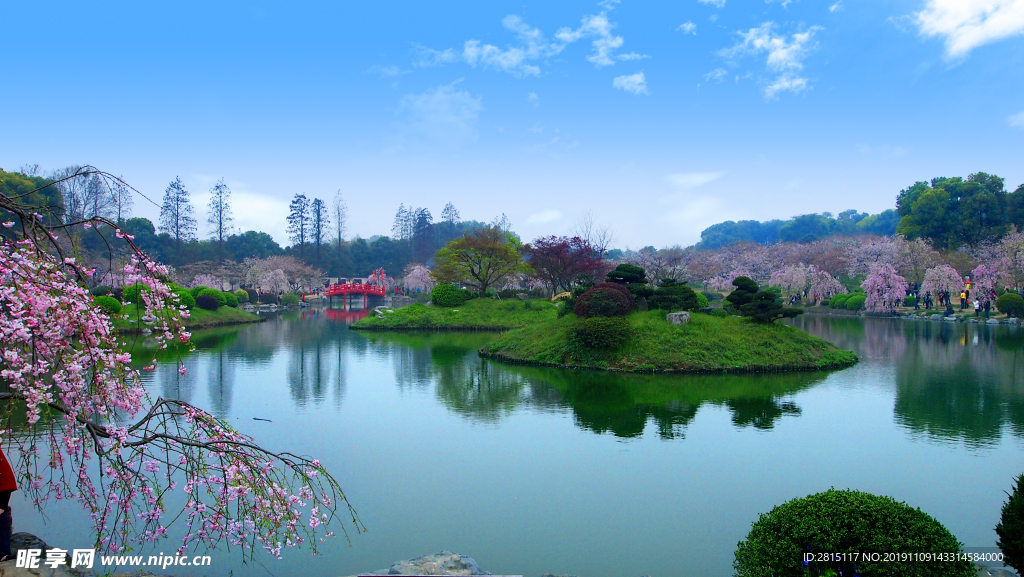 武汉东湖樱花节