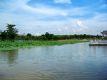 松山湖风景 湖色风光 漂亮风景