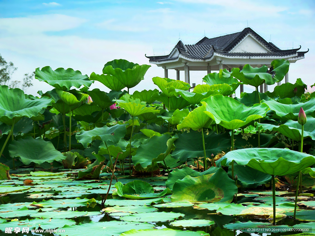 松山湖风景 湖色风光 漂亮风景