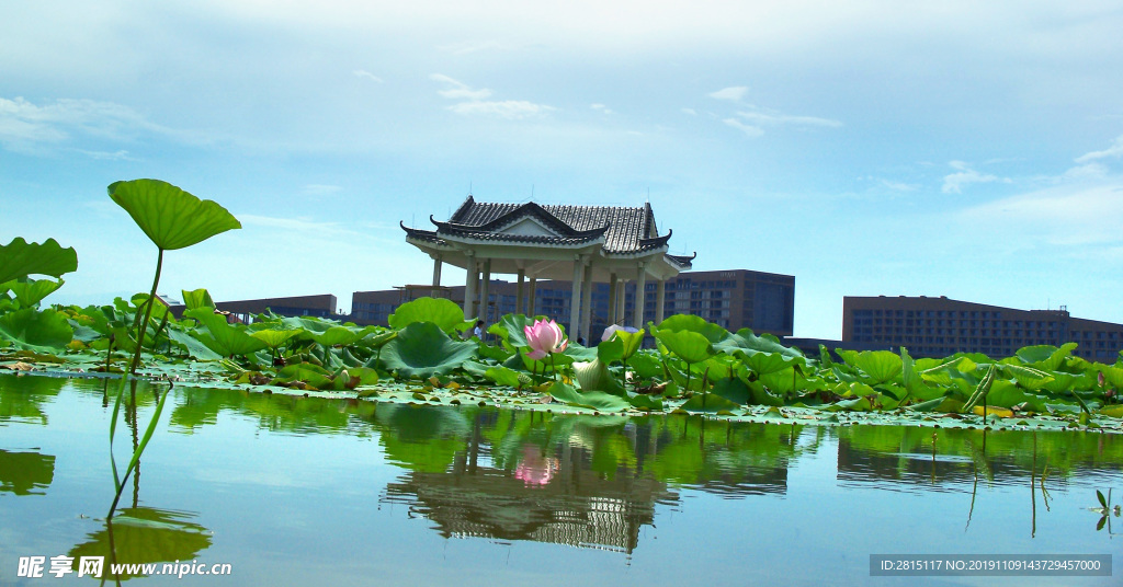 松山湖风景 湖色风光 漂亮风景