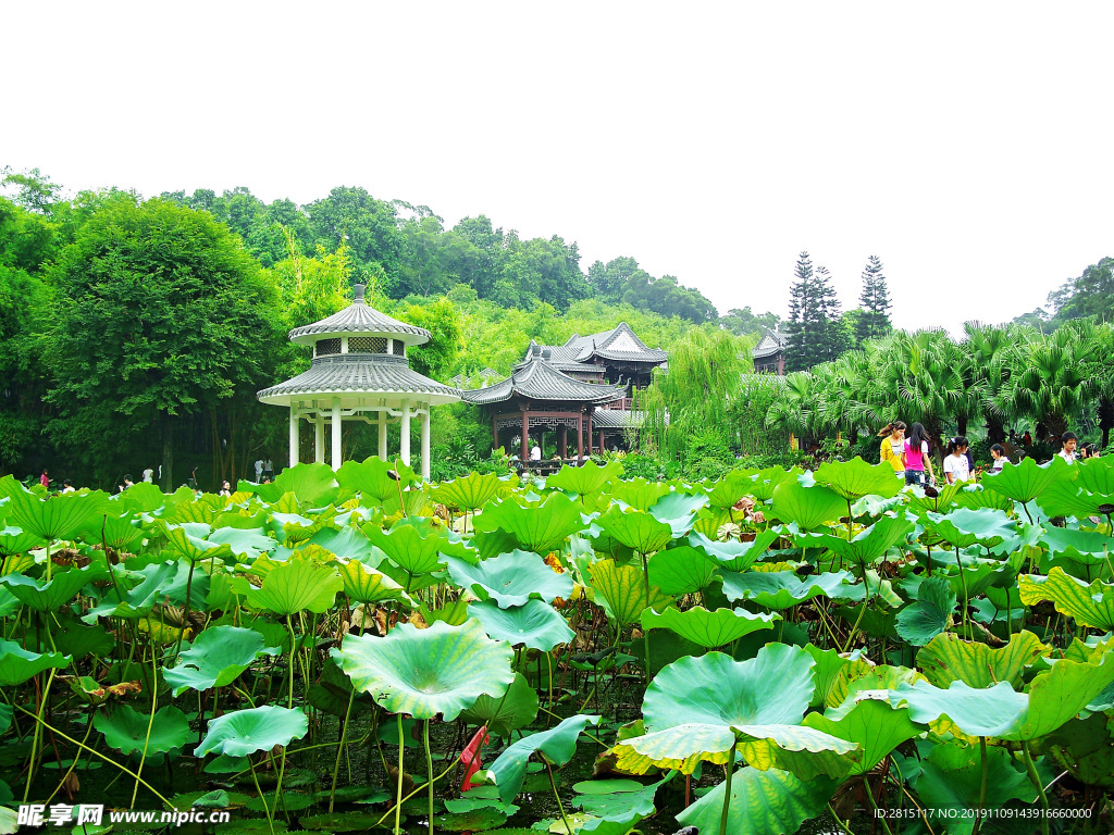 可园风景 广东四大名园