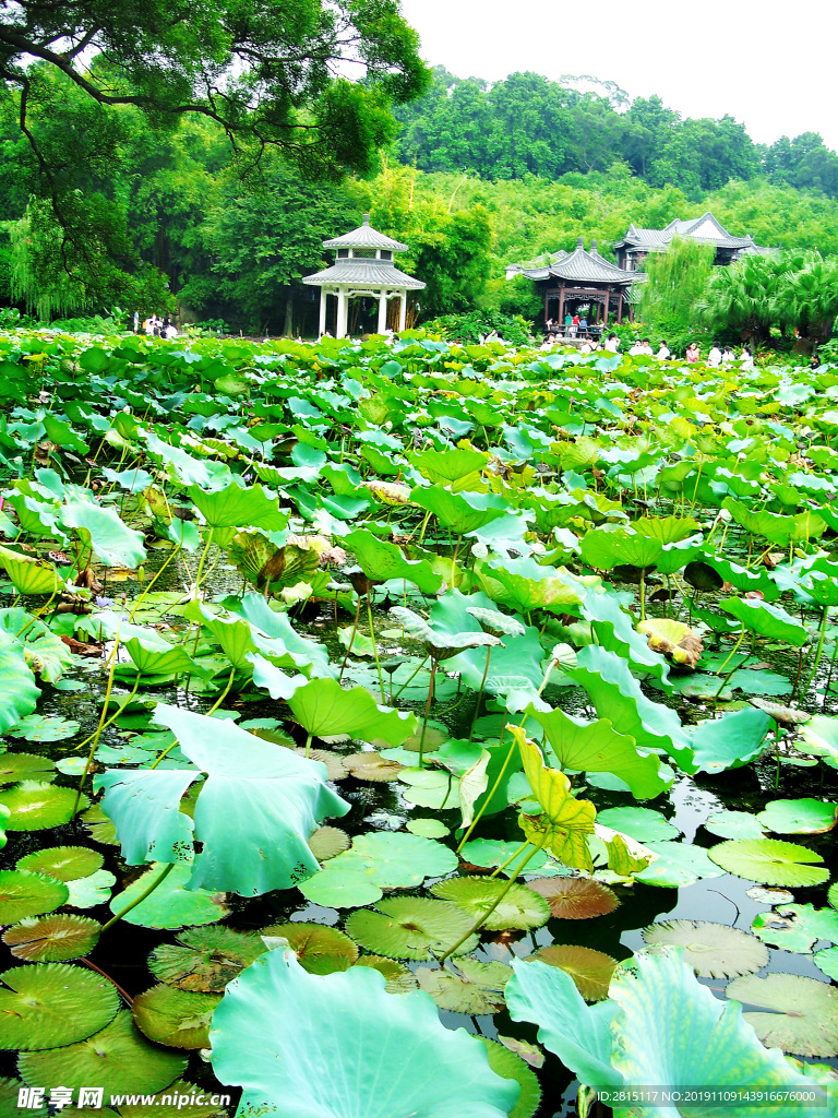 可园风景 广东四大名园