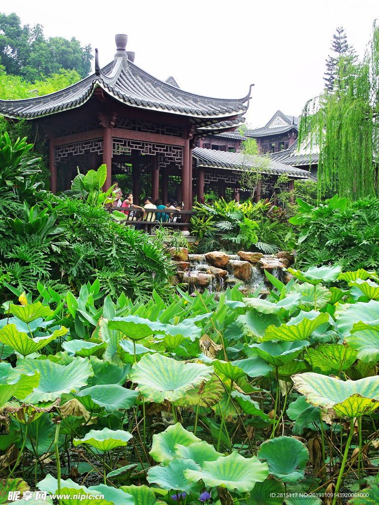 可园风景 广东四大名园