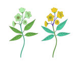 花枝