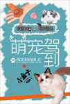 宠物店海报