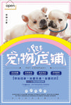 宠物店海报