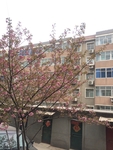 老小区