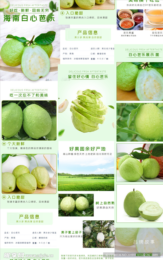 海南芭乐