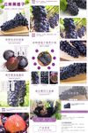黑提子