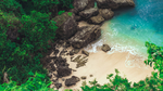 海水沙滩礁石树木风景