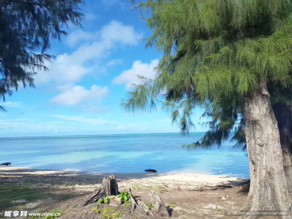 美国海边美景