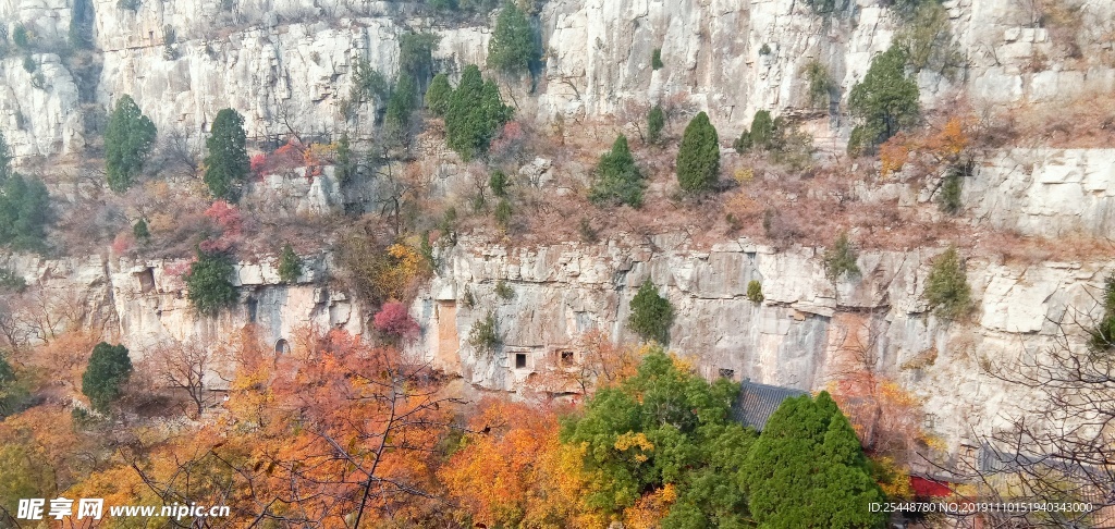 红叶风景