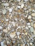 圆形石头 鹅卵石 石头 石块