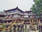 古建筑 房子 黄龙溪 古镇 马
