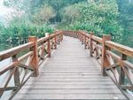 桥 木桥 路 桤木河湿地公园