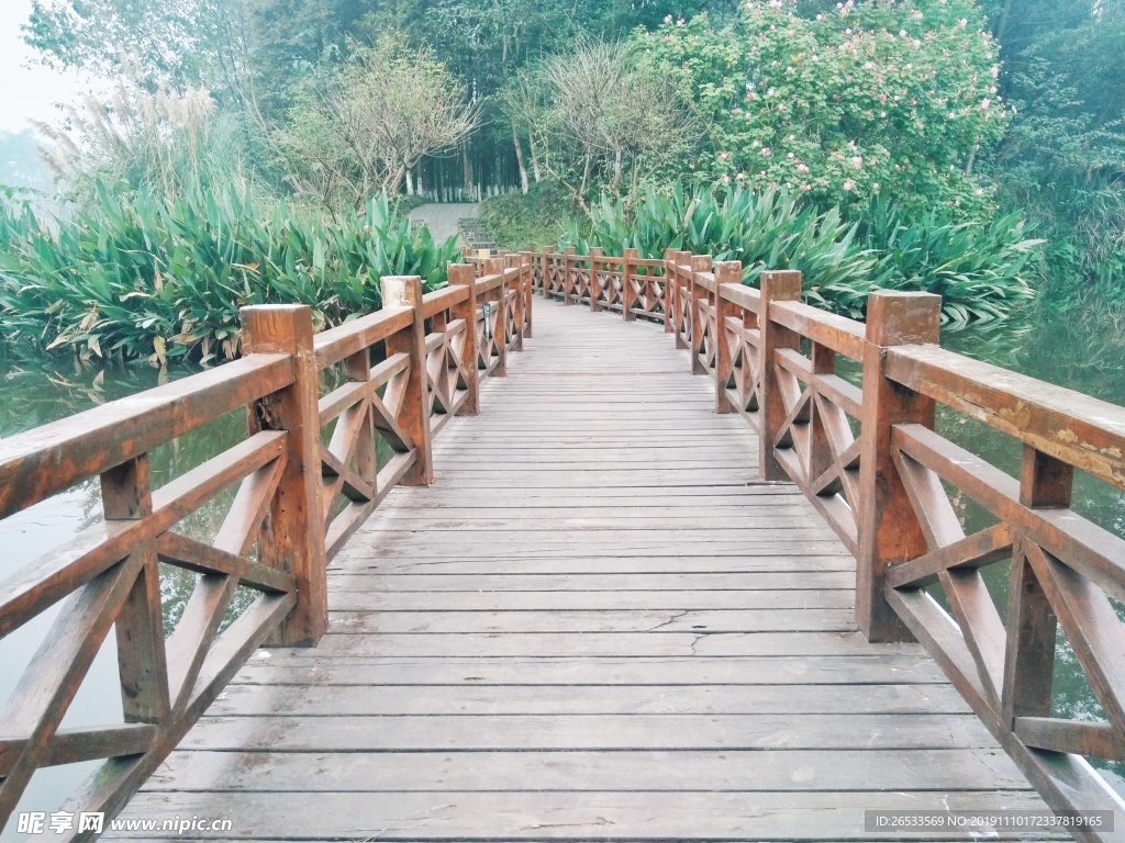 桥 木桥 路 桤木河湿地公园