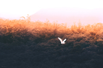 自然风景