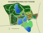 平面图