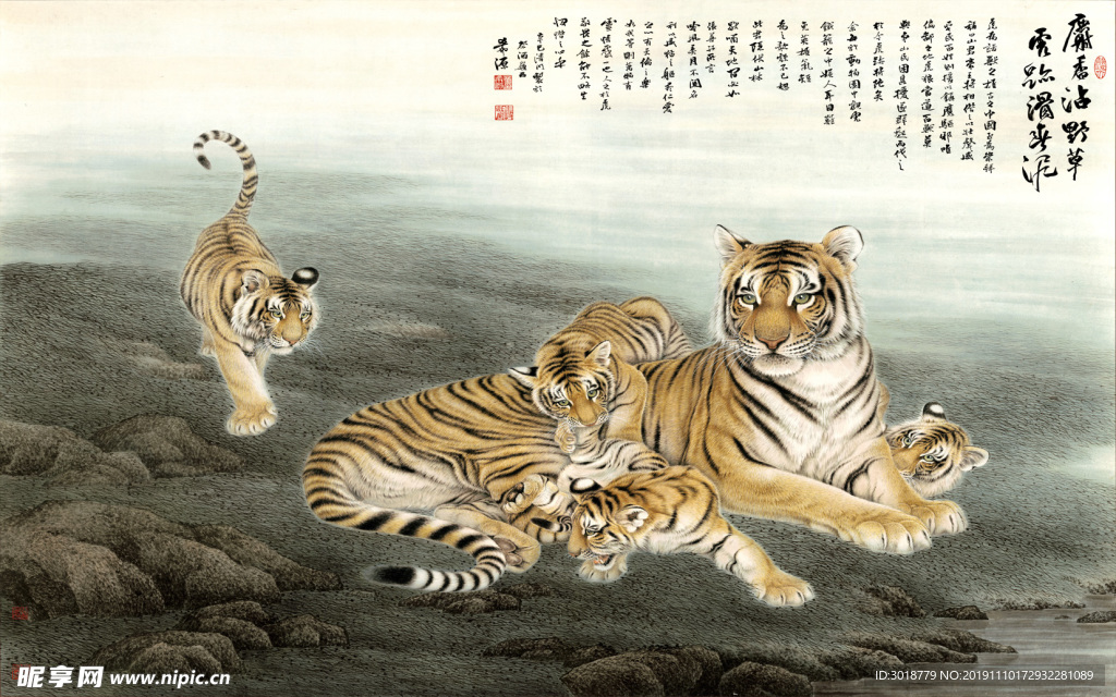 老虎