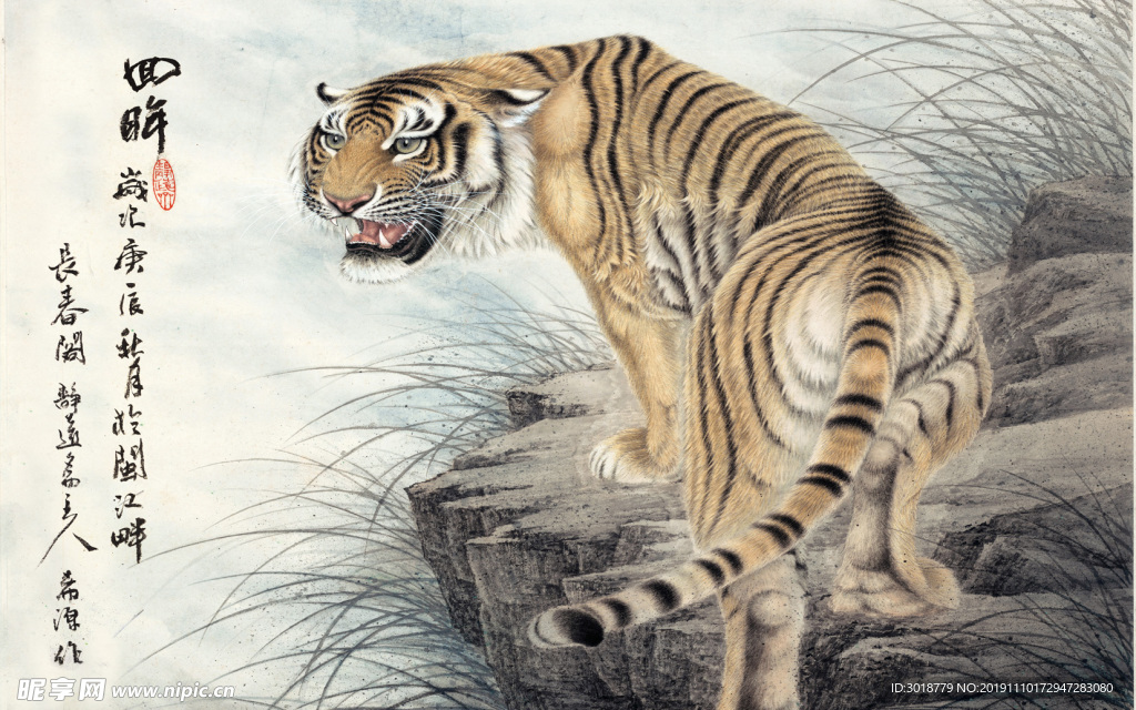 老虎