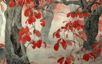 花鸟画