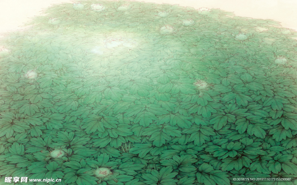 花鸟画