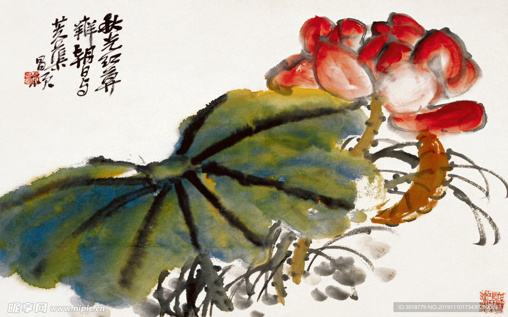 荷花