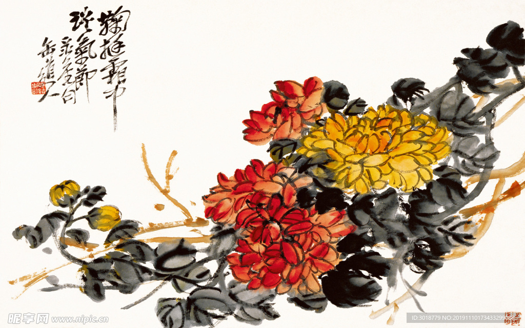 牡丹