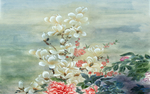 花卉