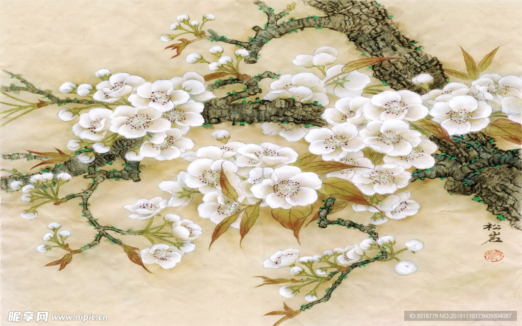 花鸟画