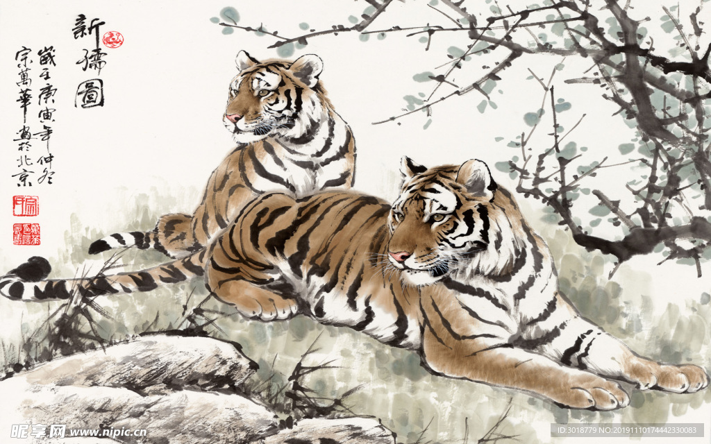 老虎画