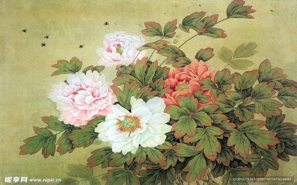 牡丹画
