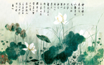 荷花图