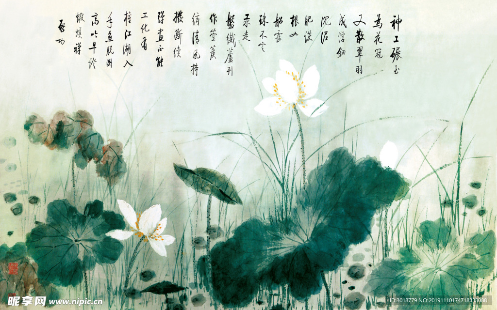 荷花图