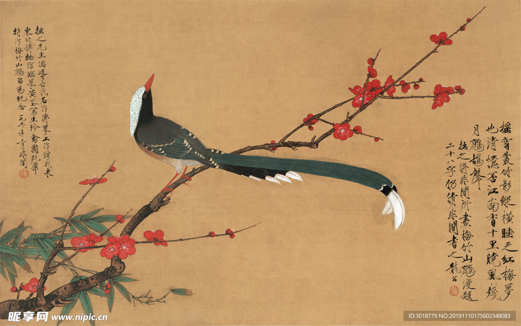 花鸟画