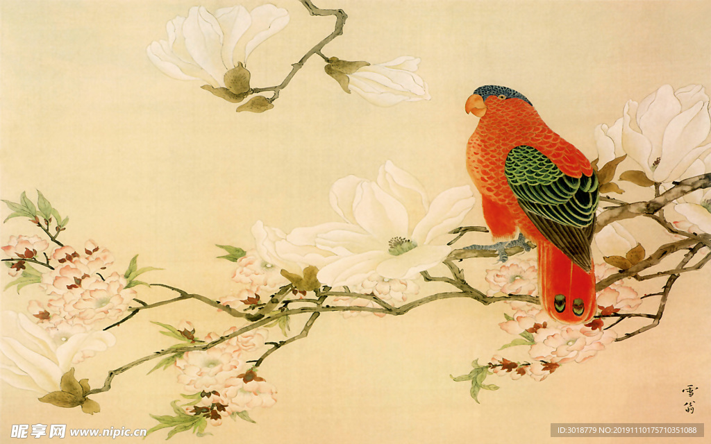 花鸟画