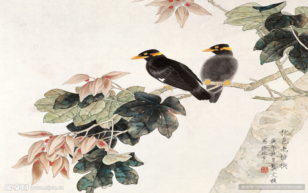 花鸟画